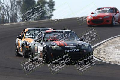 media/Feb-22-2025-CalClub SCCA (Sat) [[57201885c5]]/Group Two/Group 2B/